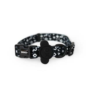 COLLAR BRNX DOODLE TALLA S