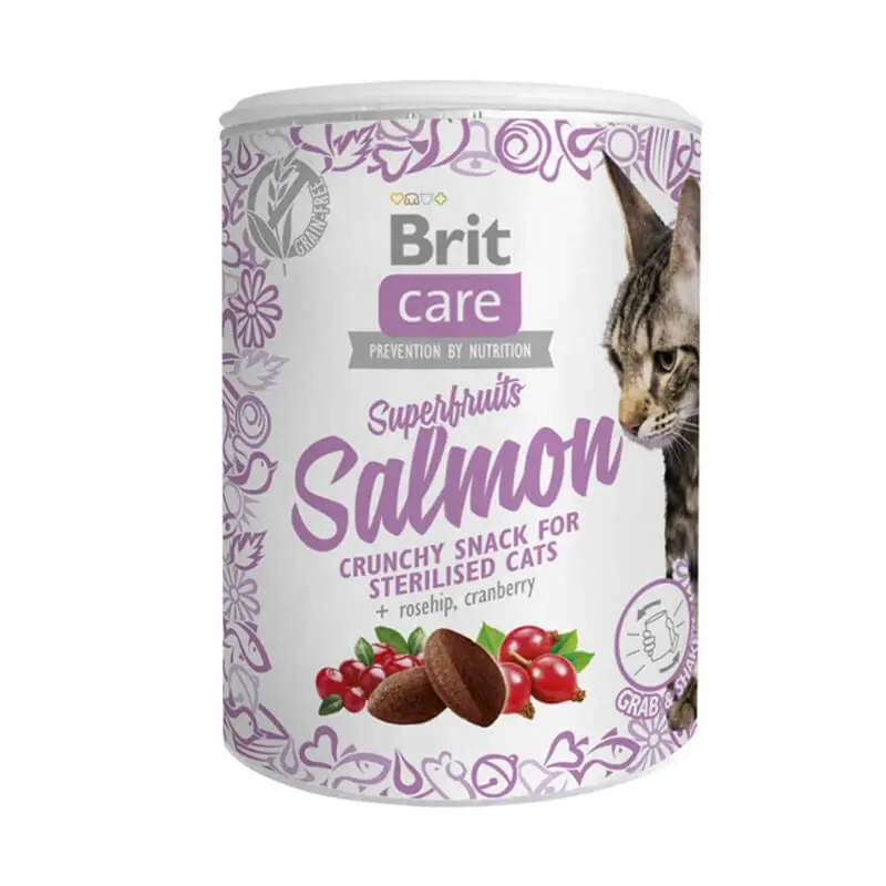 BRIT CARE CAT SNACK SUPERFRUITS SALMON 100 G
