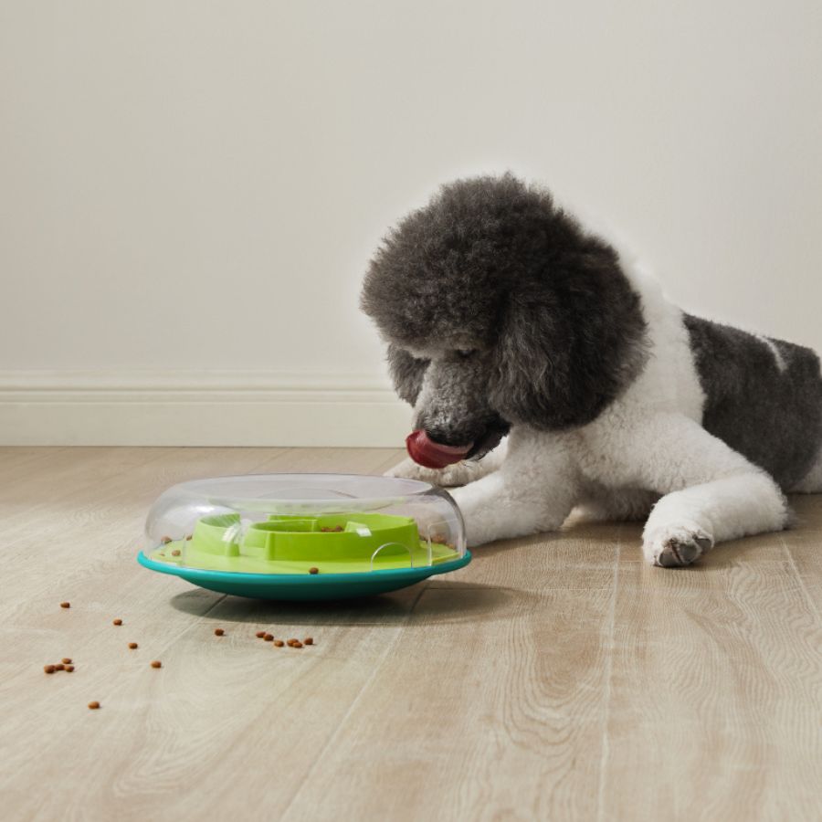 OUTWARD HOUND WOBBLE BOWL Juguete Interactivo Portagolosinas para perros