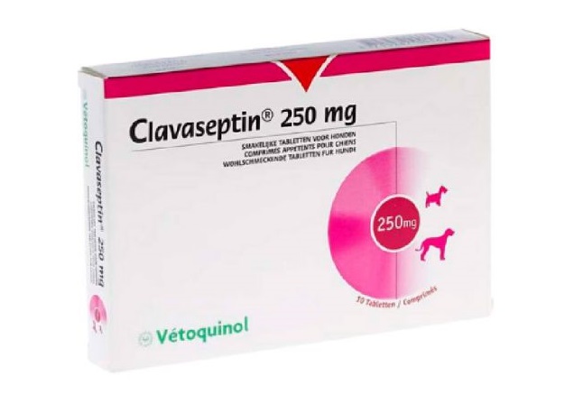 CLAVASEPTIN