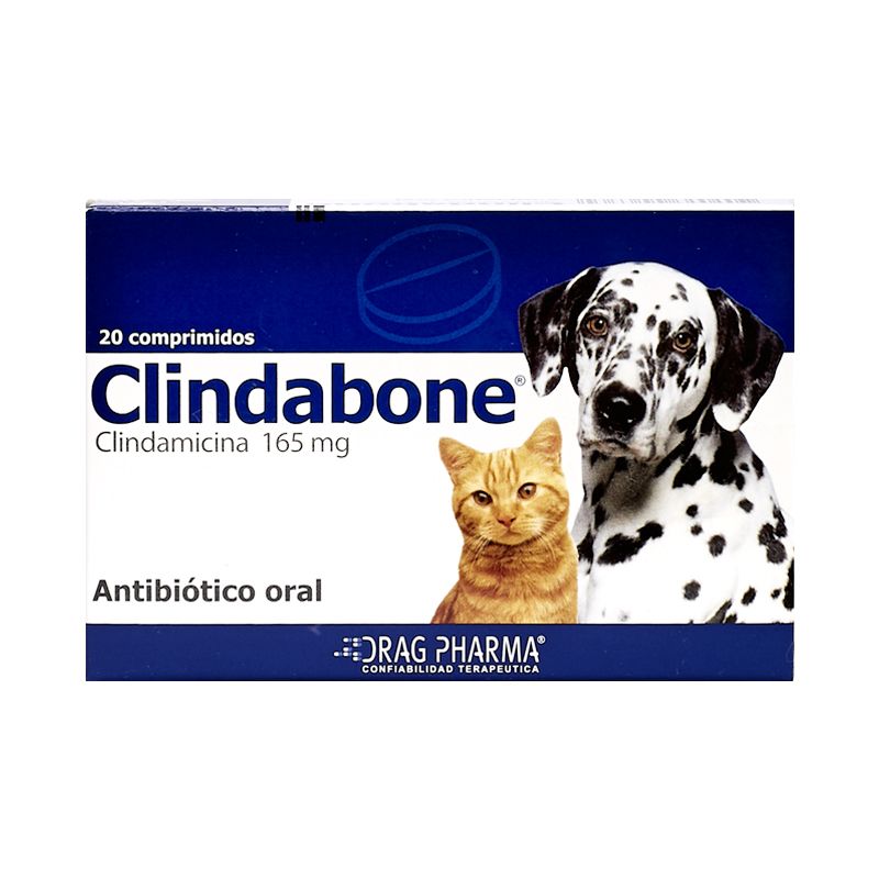 CLINDABONE 165 MG 20 comp