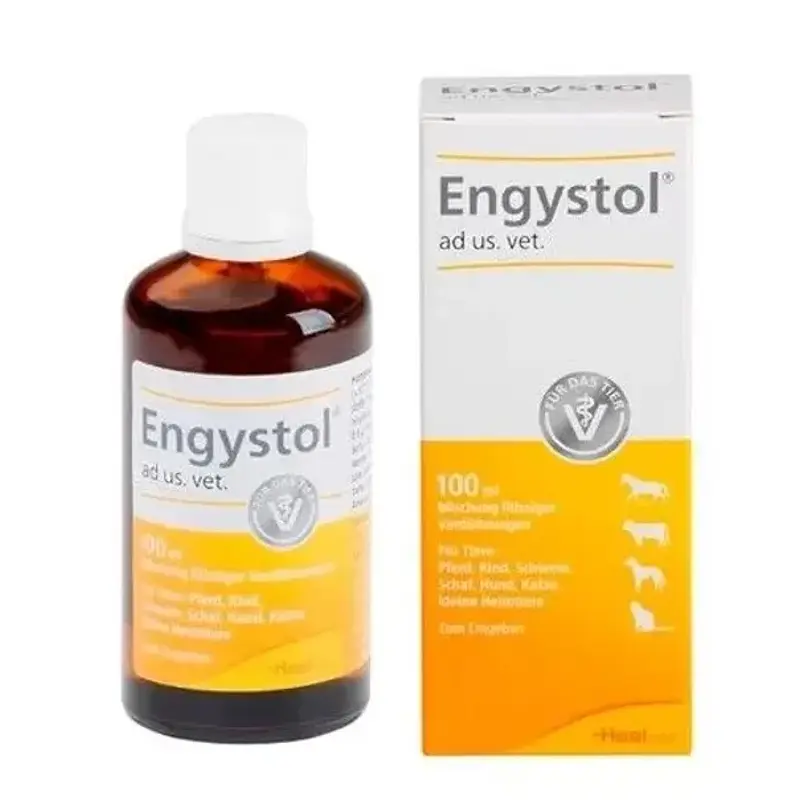 ENGYSTOL GOTAS 100 ml