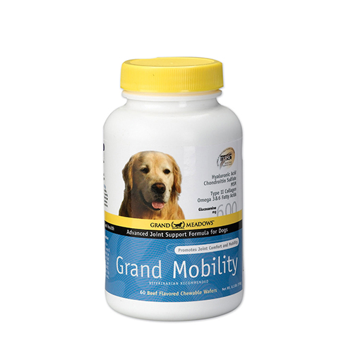 GRAND MOBILITY 600 MG 60 comp