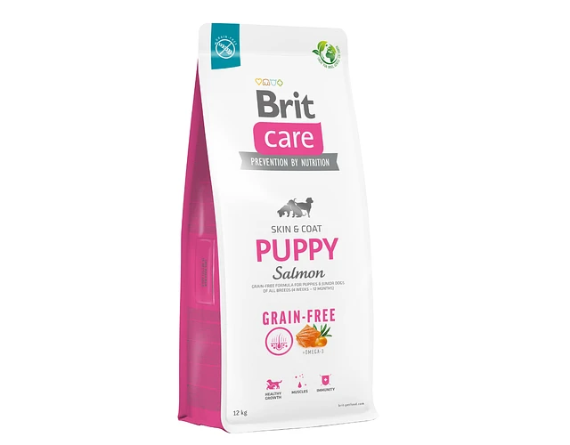BRIT DOG PUPPY SALMON