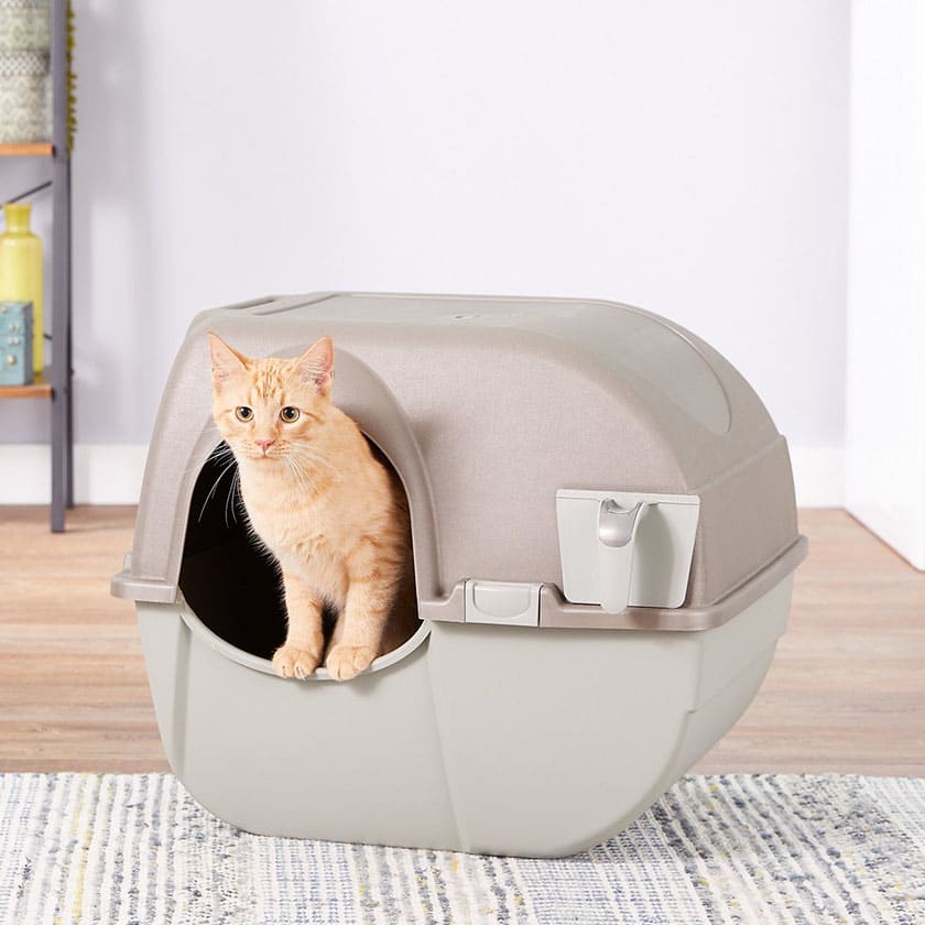 BAÑO SANITARIO GATO 