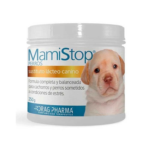 MAMI STOP PERRO
