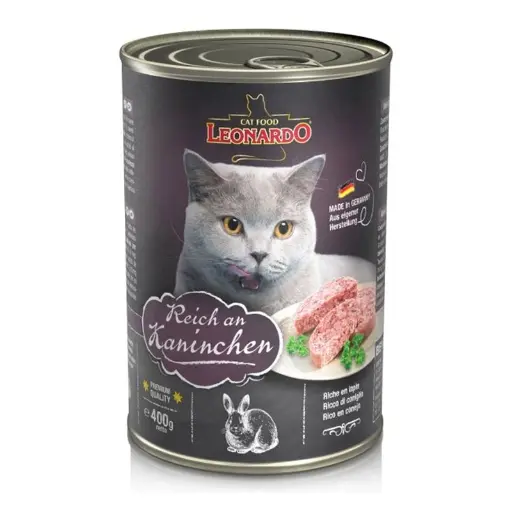 LEONARDO REICH AN KANINCHEN CAT